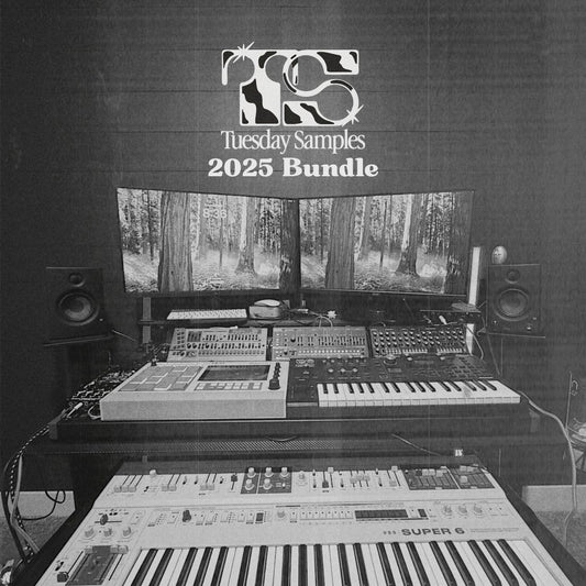 2025 Essentials – Indie & Post-Punk Samples