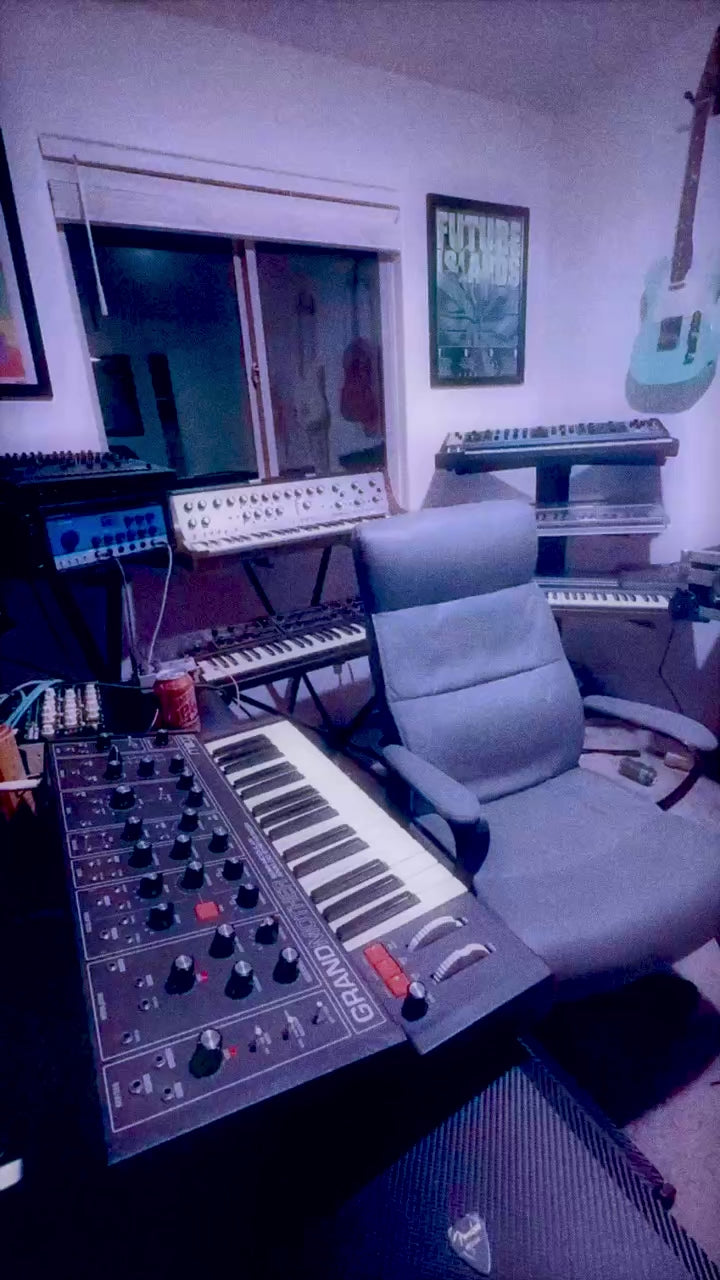 GRANNY - 50 Moog Grandmother Presets for Arturia Pigments / Analog Lab